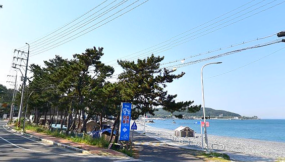 더몽돌물회 이미지