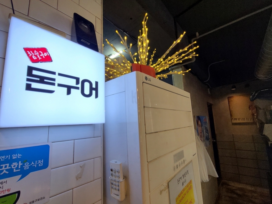 돈구어 이미지