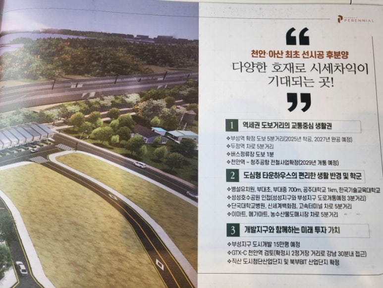 부성태양 이미지