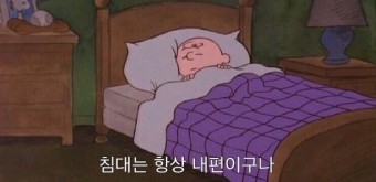 피티바디 이미지