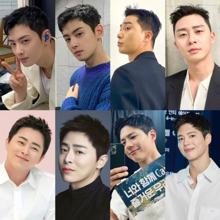 보스헤어 이미지