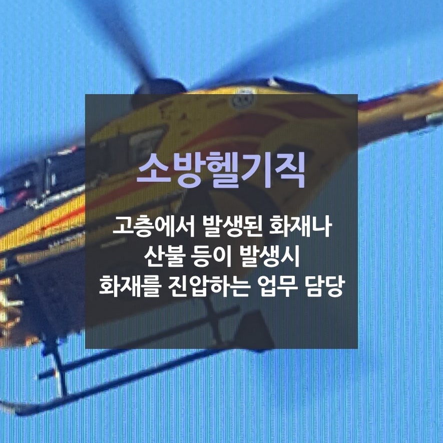 행안자동차 이미지