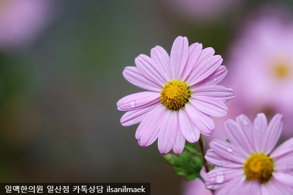 원당한의원 이미지