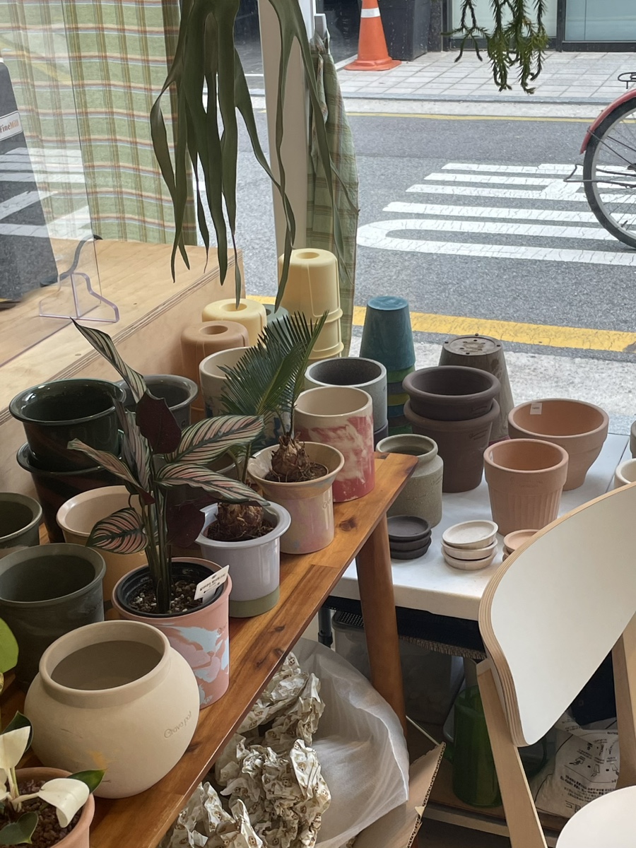 화분집그로브팟 이미지