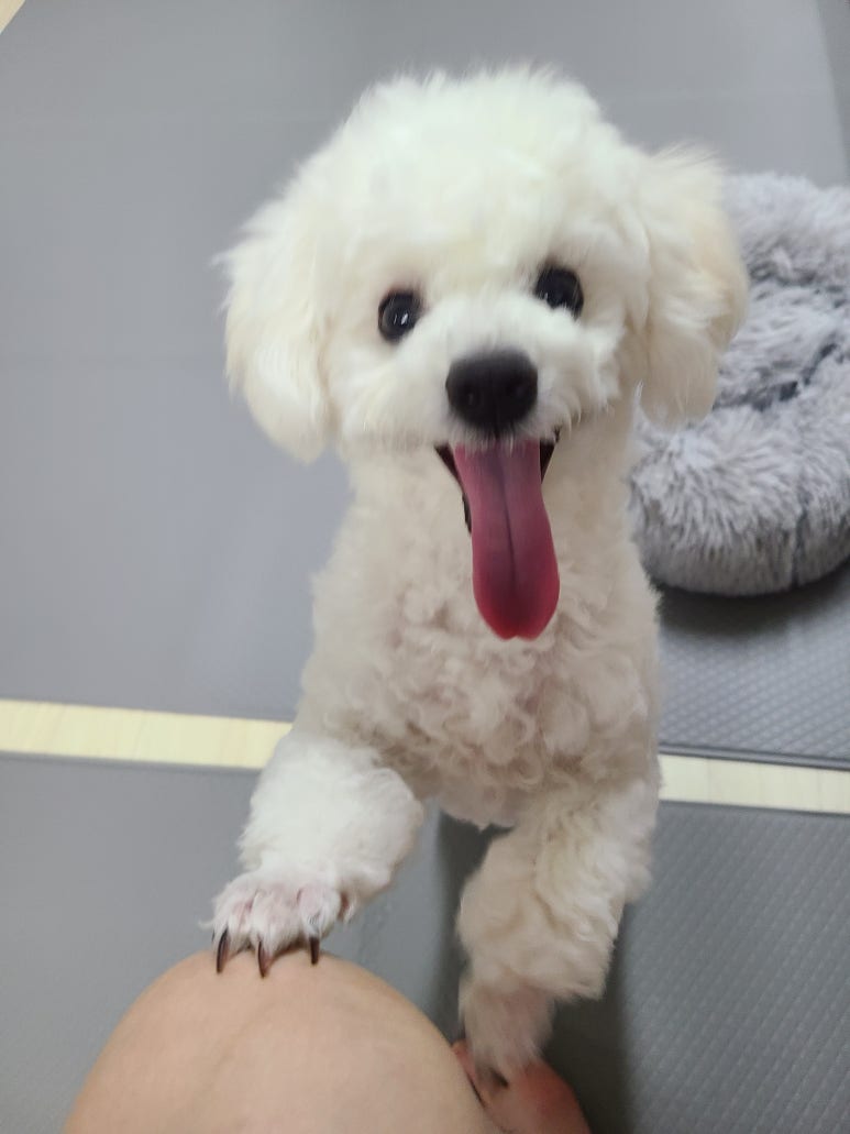 주식회사 오월 이미지