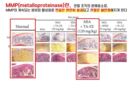엠엠피 이미지