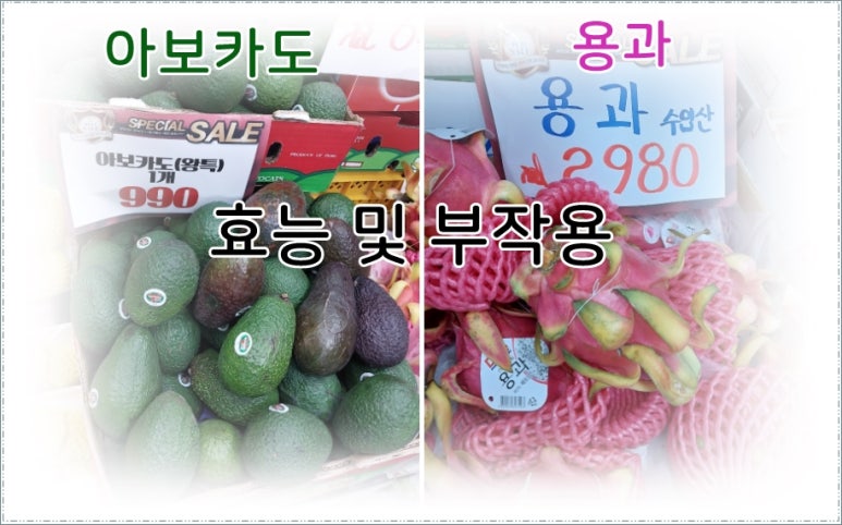 용구반점 이미지