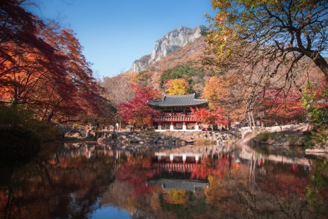 주원항공여행사 이미지