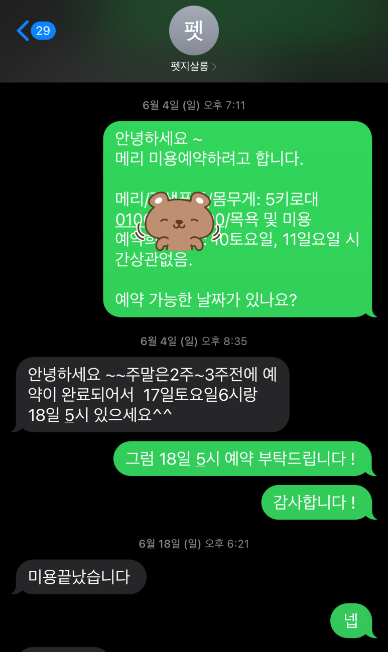 펫지 이미지