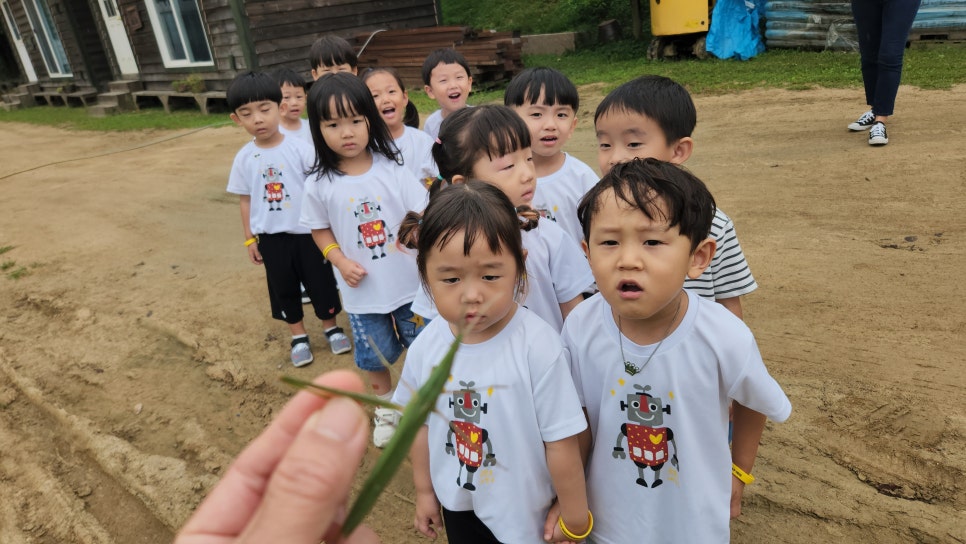 고양시립장미어린이집 이미지