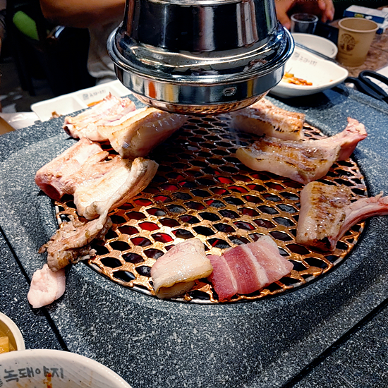 녹돼야지 이미지