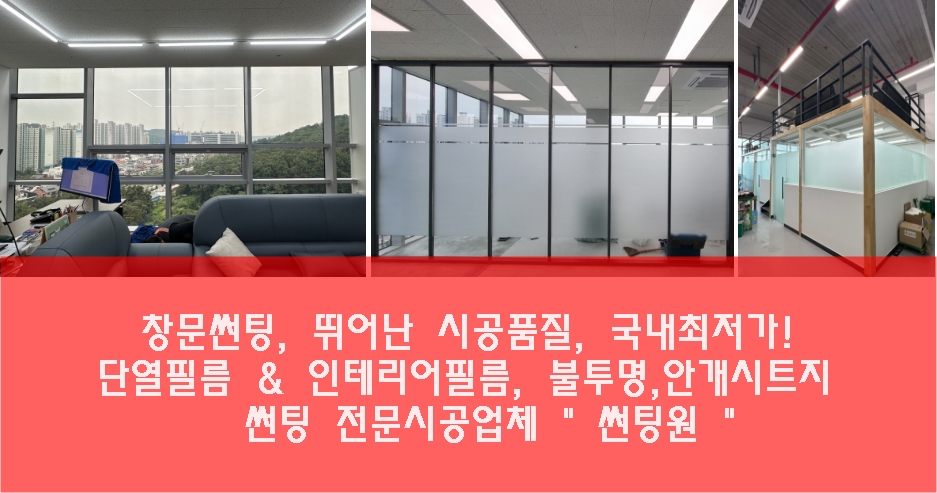 썬팅파티 이미지