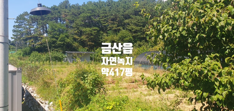 금산IC 이미지