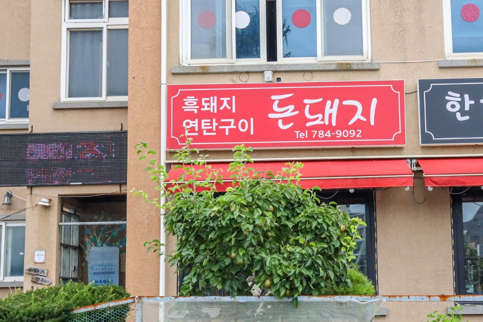 돈돼지연탄구이 이미지