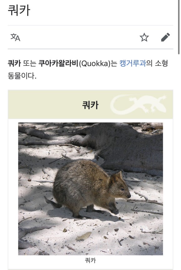 풍년제과cafe 이미지
