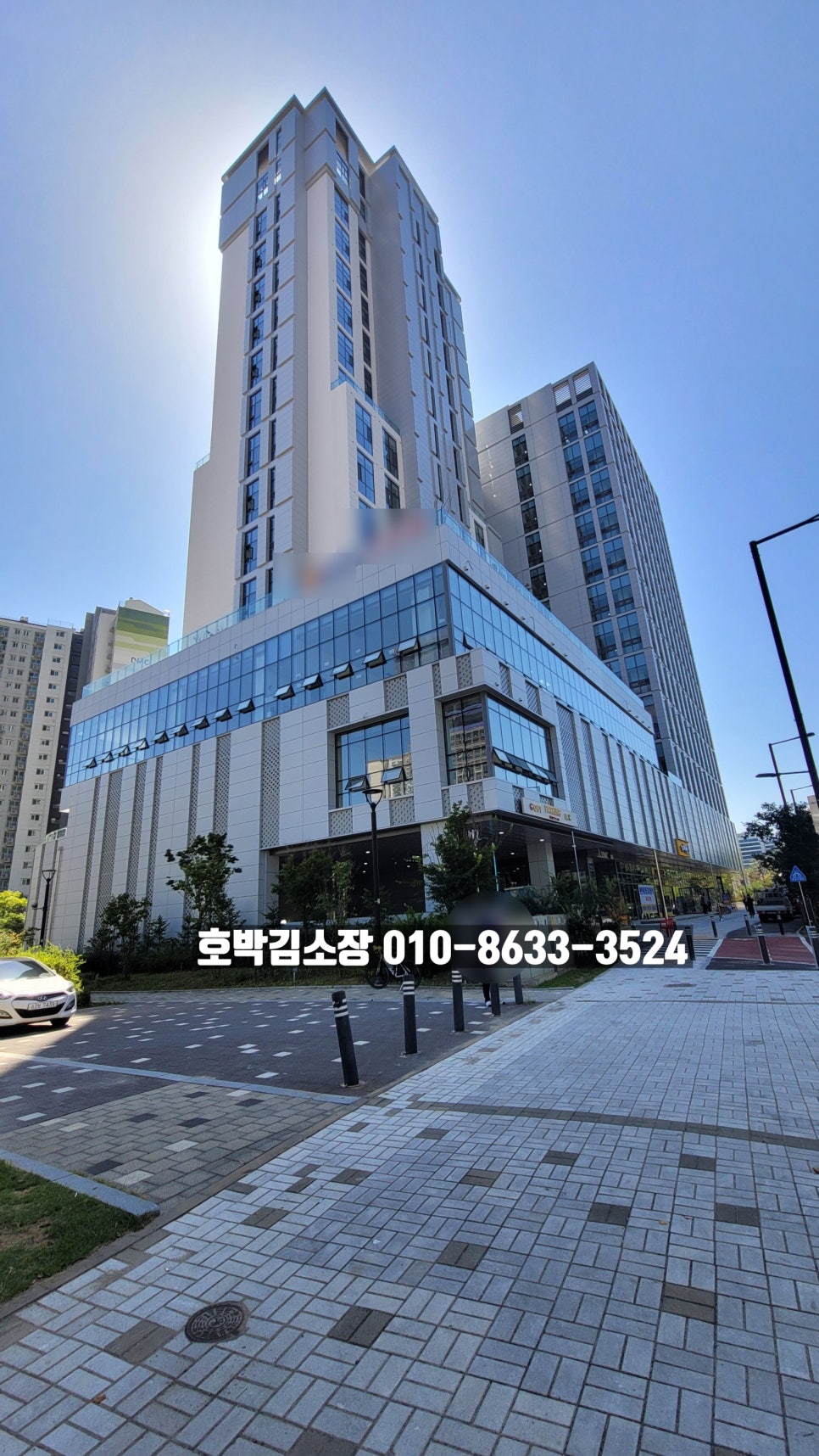 테라아미 이미지