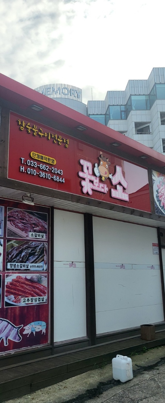 꽃보다소 이미지