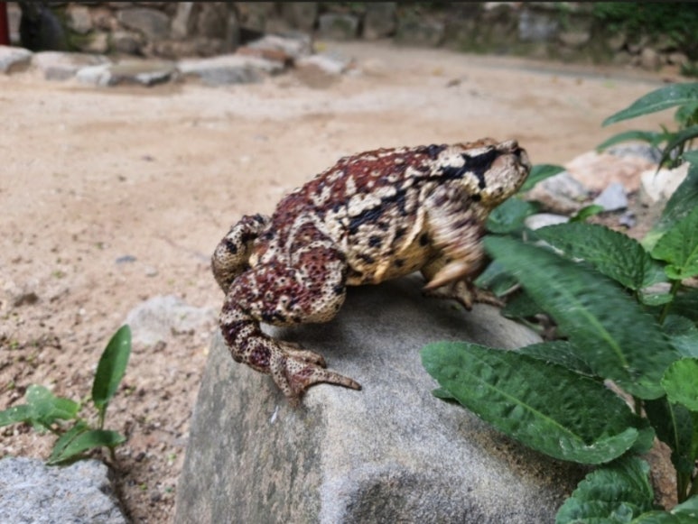 중흥관 이미지