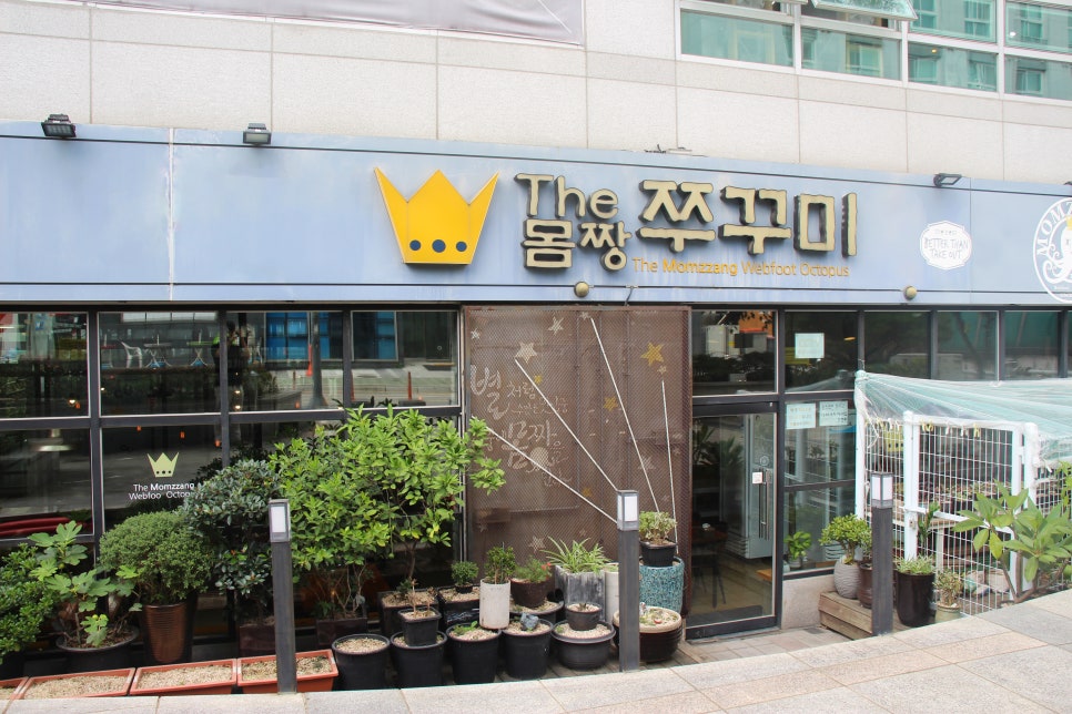 더몸짱쭈꾸미 이미지