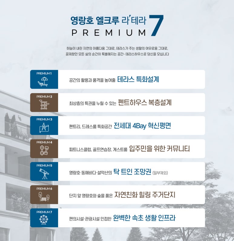 라테라 이미지