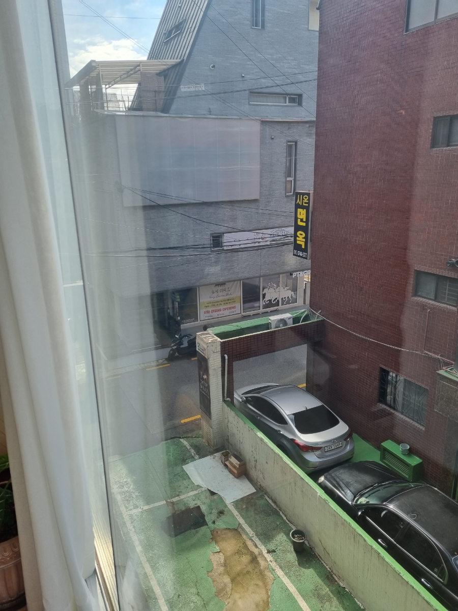 도시히피즈 이미지