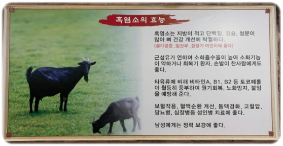 논현골흑염소 이미지