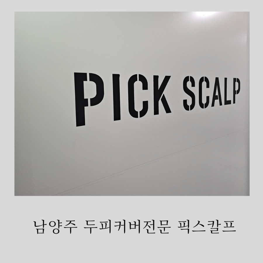 픽스칼프 이미지