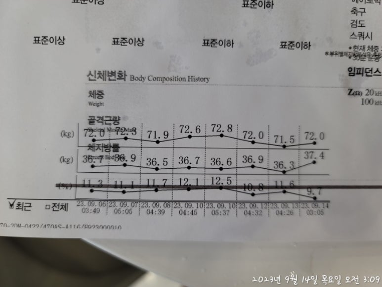 벡텍 이미지