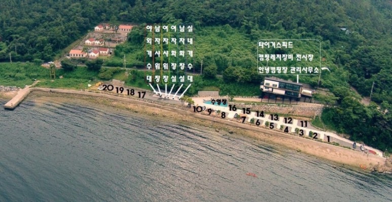 타이거오토 이미지