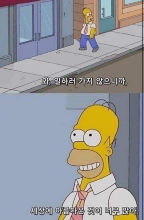 휘소가치 이미지