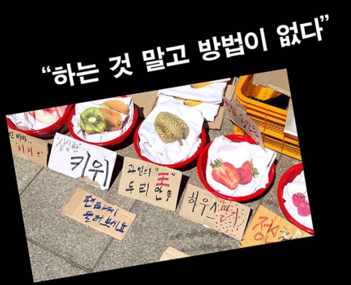 김씨네과일 이미지