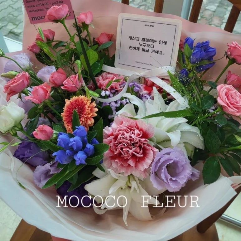 모코코플레르 이미지