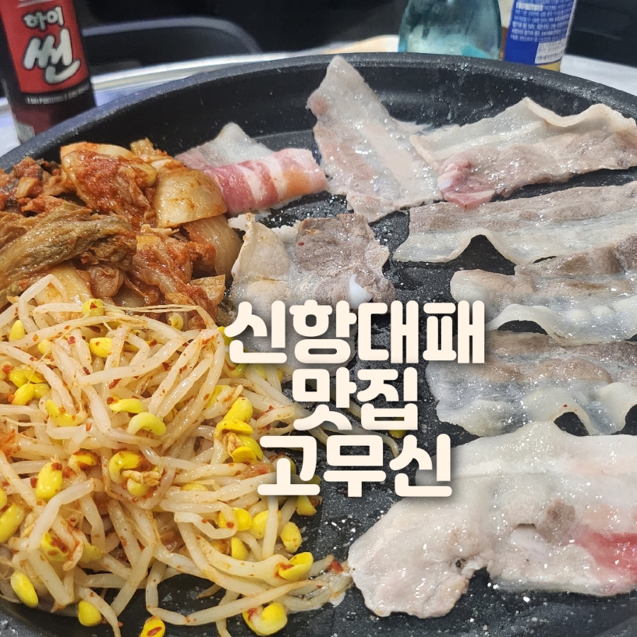 신항대패 이미지