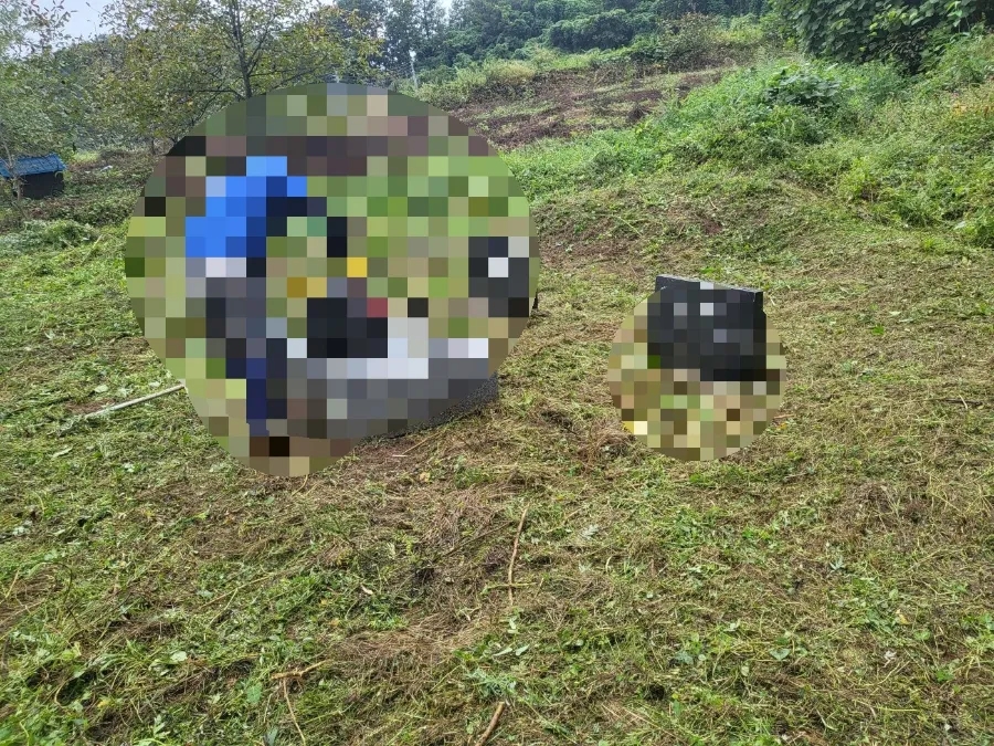 고인돌상조 이미지