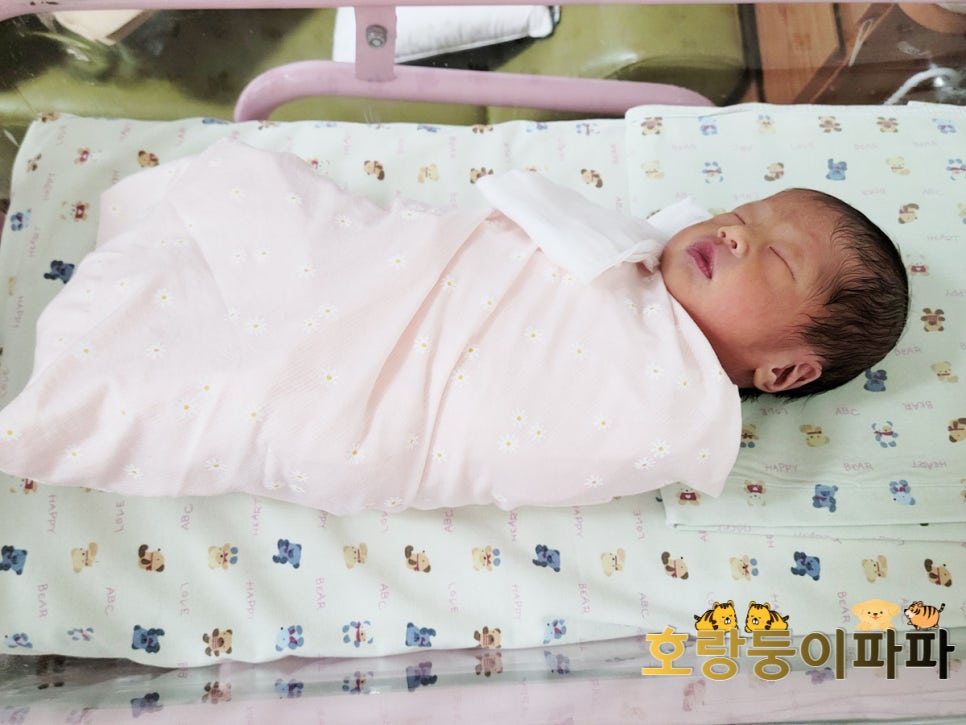 깨끗태진 이미지