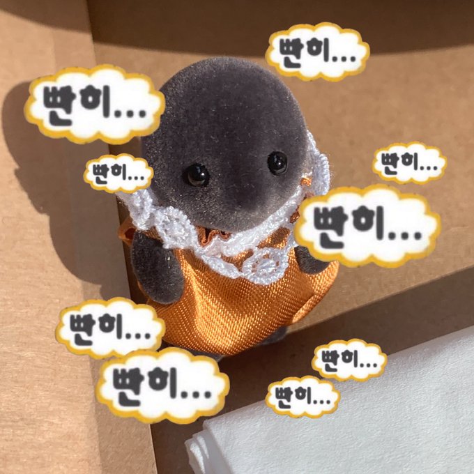 널위한헤어 이미지