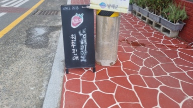 딸기네공방 이미지