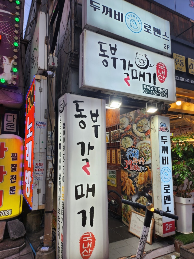 동부갈매기 이미지