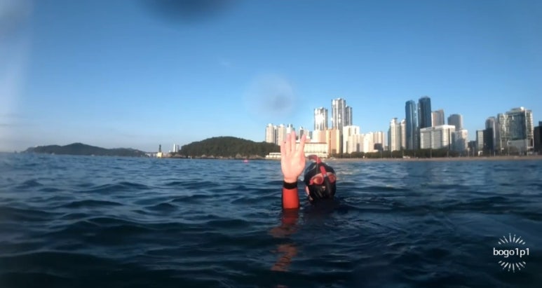 (주)새벽바다 이미지
