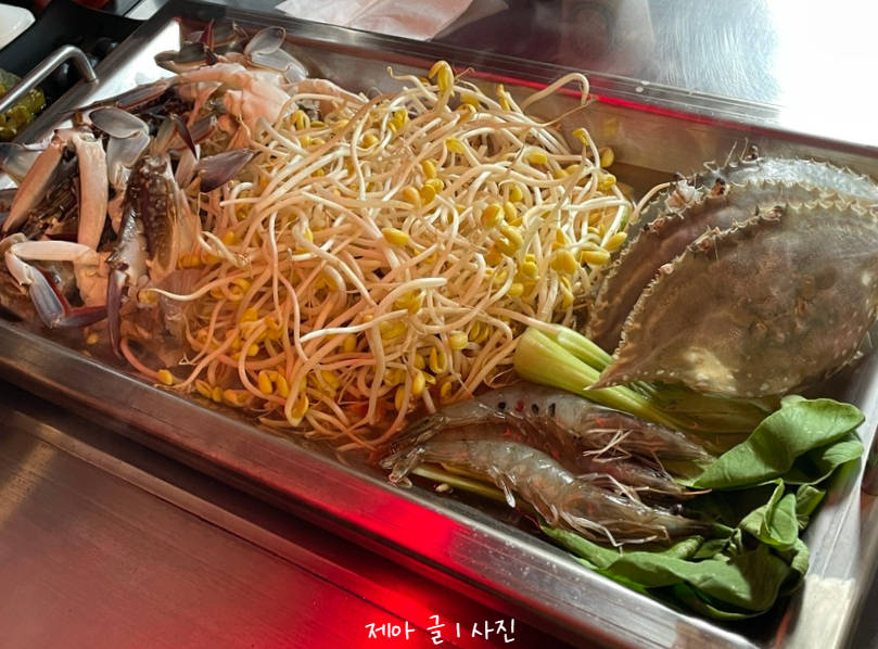하와이조개 이미지