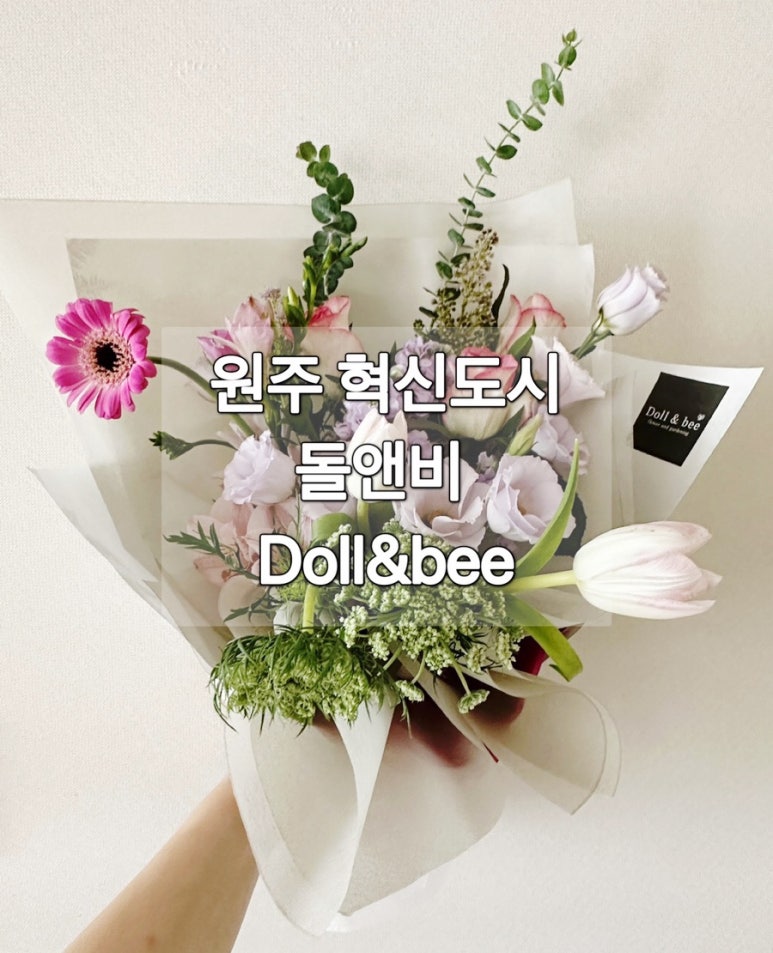 돌앤비 이미지