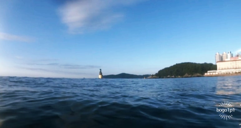(주)새벽바다 이미지