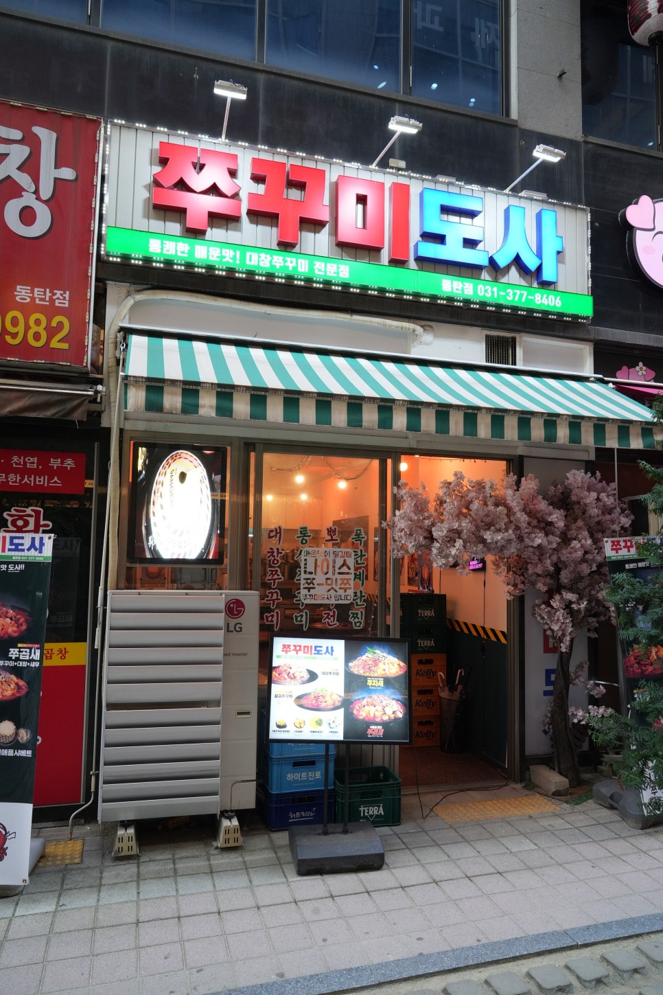 쭈꾸미도사 이미지