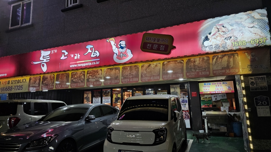 통고집거제 이미지