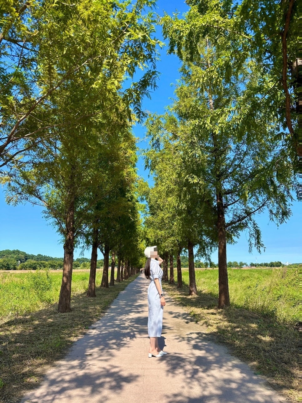 강릉하파펜션 이미지