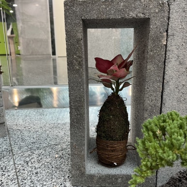 미남상회 이미지