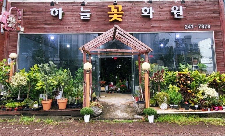 하늘꽃화원 이미지