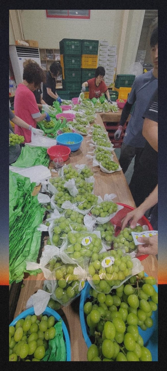 행복한사이농산물 이미지