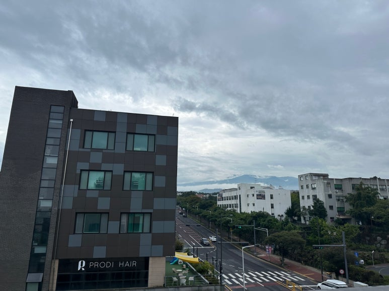 열날개 사진 8