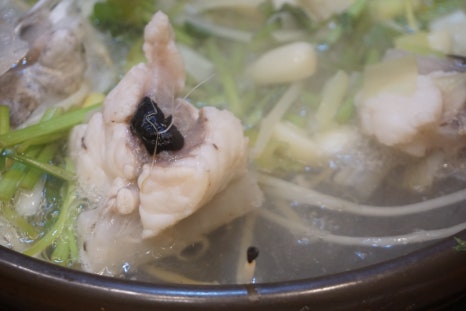 생생아구 삼성직영점 이미지
